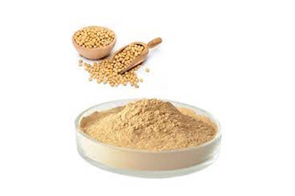 Soy peptides from soy manufacturer Anoxymer in powder form