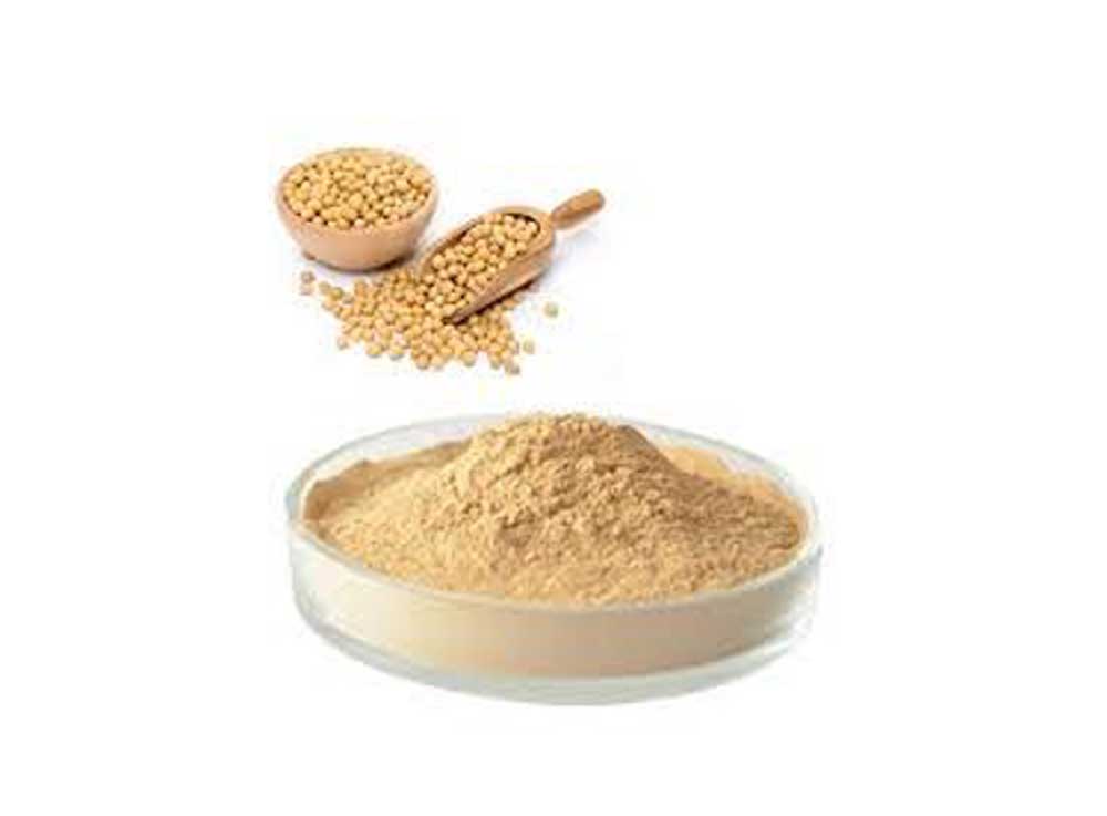 Soy protein powder in a bowl